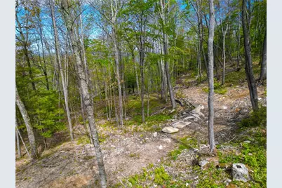 Vr1 Red Sky Parkway, Elk Park, NC 28622 - Photo 17