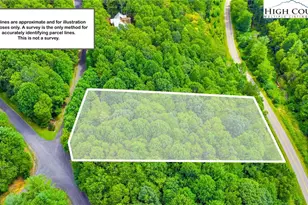 Tbd 6 Christmas Mountain Ln, Fleetwood, NC 28626 - Photo 1