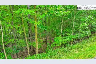 Tbd 6 Christmas Mountain Lane, Fleetwood, NC 28626 - Photo 13