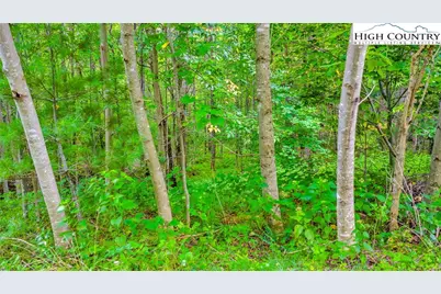 Tbd 6 Christmas Mountain Lane, Fleetwood, NC 28626 - Photo 15