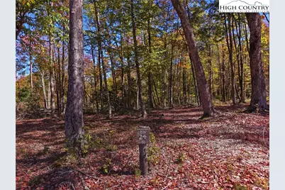 Es-24 Eagle Springs Trail, Banner Elk, NC 28604 - Photo 5
