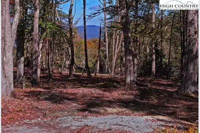 Es-24 Eagle Springs Trail, Banner Elk, NC 28604 - Photo 3