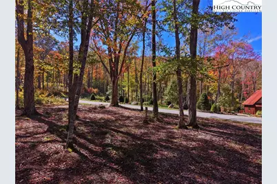 Es-24 Eagle Springs Trail, Banner Elk, NC 28604 - Photo 9