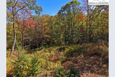 N-79 Eagles Nest Trail, Banner Elk, NC 28604 - Photo 5