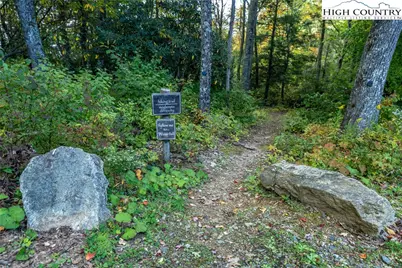 C-109 Mossy Bark Trail, Banner Elk, NC 28604 - Photo 29
