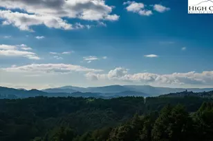 0 Tbd Topia Rd, Piney Creek, NC 28663 - Photo 1