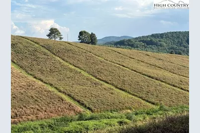 0 Tbd Topia Road, Piney Creek, NC 28663 - Photo 15