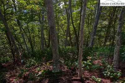 Lots 8 & 9 Rocky Top Trail, Seven Devils, NC 28604 - Photo 29