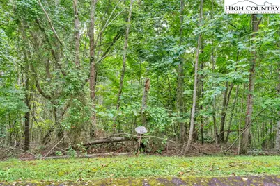 Lot 14 Lake View Drive, Elk Park, NC 28622 - Photo 3