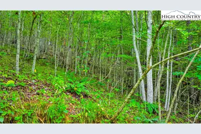 Tbd McKinley Ridge Road, Lansing, NC 28643 - Photo 19