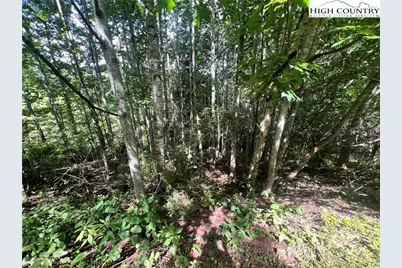 Lot 5 Old Barn Road, Vilas, NC 28692 - Photo 1