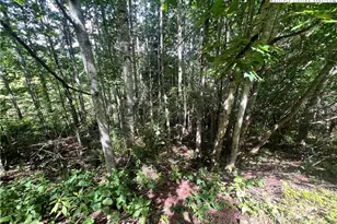 Lot 5 Old Barn Rd, Vilas, NC 28692 - Photo 1