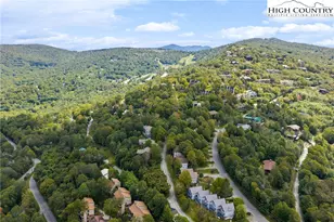 105 N Pinnacle Ridge Rd, Beech Mountain, NC 28604 - Photo 37