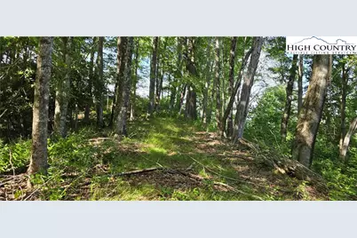 Tbd Rock Creek Road, Creston, NC 28615 - Photo 7