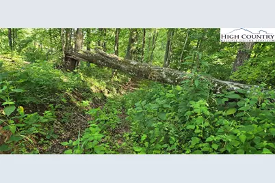 Tbd Rock Creek Road, Creston, NC 28615 - Photo 21