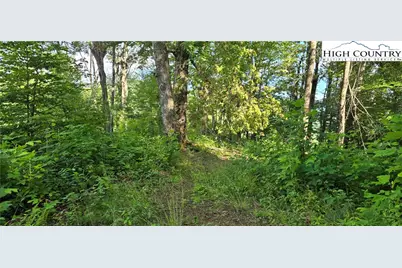 Tbd Rock Creek Road, Creston, NC 28615 - Photo 23