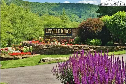 117 Ridge Drive, Linville, NC 28646 - Photo 9