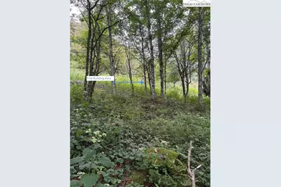 Lot 98 Eagle Peak Trail, Banner Elk, NC 28604 - Photo 3