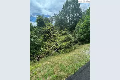 108 Falls Creek Parkway, Elk Park, NC 28622 - Photo 5