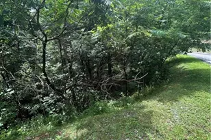 108 Falls Creek Pkwy, Elk Park, NC 28622 - Photo 1