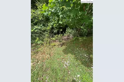 108 Falls Creek Parkway, Elk Park, NC 28622 - Photo 3