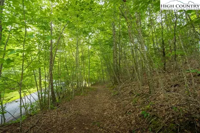 Tbd Beaver Damn Road, Elk Park, NC 28622 - Photo 13