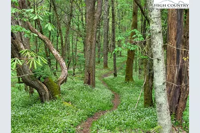 217 Rainbow Ridge Road, Zionville, NC 28698 - Photo 13