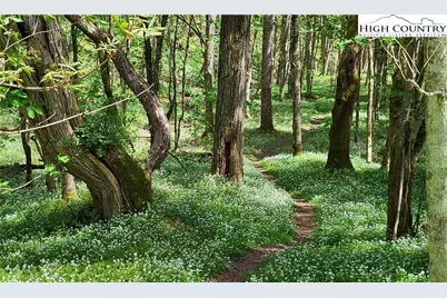 217 Rainbow Ridge Road, Zionville, NC 28698 - Photo 15