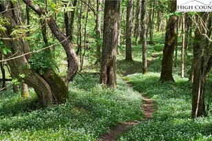 217 Rainbow Ridge Rd, Zionville, NC 28698 - Photo 15