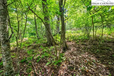 Lot 15 Boone Ridge Lane, Boone, NC 28607 - Photo 5