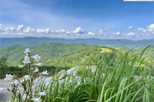 132 Sun Peaks Trl, Beech Mountain, NC 28604 - Photo 39