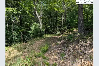 Tbd Parkway Pointe Drive, West Jefferson, NC 28694 - Photo 9