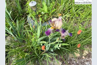 25 Reuben Wooten Road, Banner Elk, NC 28604 - Photo 37