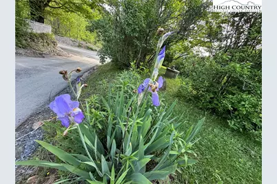 25 Reuben Wooten Road, Banner Elk, NC 28604 - Photo 39