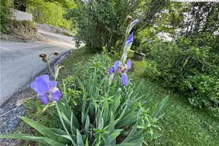 25 Reuben Wooten Rd, Banner Elk, NC 28604 - Photo 39