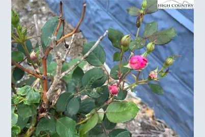 25 Reuben Wooten Road, Banner Elk, NC 28604 - Photo 43