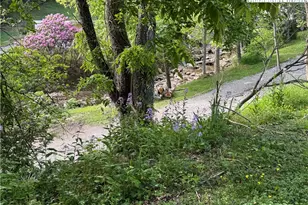 25 Reuben Wooten Rd, Banner Elk, NC 28604 - Photo 47