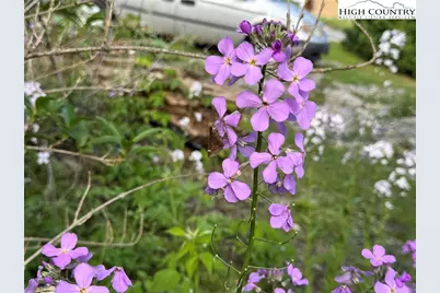 25 Reuben Wooten Road, Banner Elk, NC 28604 - Photo 41