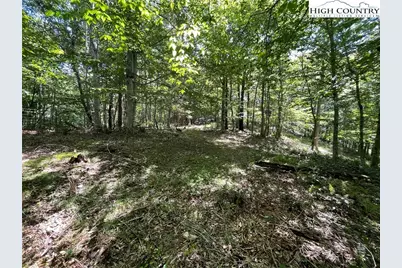 Tbd Long Branch Road, Lansing, NC 28643 - Photo 9