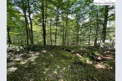 Tbd Long Branch Road, Lansing, NC 28643 - Photo 9