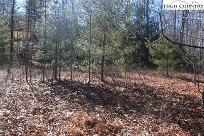 Lot 9 Clearview Ridge Road, Crumpler, NC 28617 - Photo 9