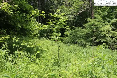 Lot 9 Clearview Ridge Road, Crumpler, NC 28617 - Photo 19