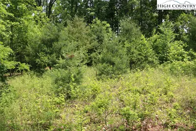 Lot 9 Clearview Ridge Road, Crumpler, NC 28617 - Photo 3