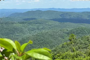 151 Cascade Dr, Purlear, NC 28665 - Photo 3