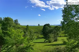 151 Cascade Dr, Purlear, NC 28665 - Photo 5