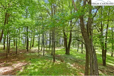 151 Cascade Drive, Purlear, NC 28665 - Photo 27