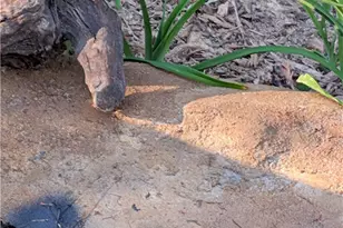 164 Glade Creek Rd, Sparta, NC 28675 - Photo 43