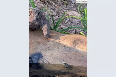 164 Glade Creek Road, Sparta, NC 28675 - Photo 43