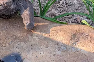 164 Glade Creek Rd, Sparta, NC 28675 - Photo 43