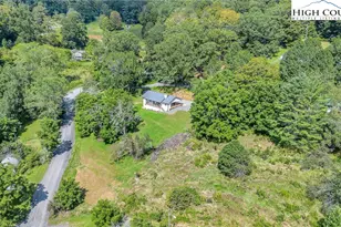 393 Carter Miller Rd, Todd, NC 28684 - Photo 3